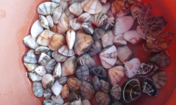 bfef2b0137937919fdee03fef5005322_1470039