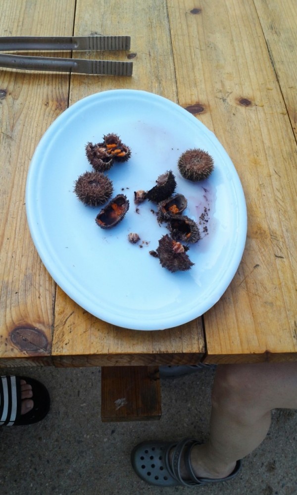 bfef2b0137937919fdee03fef5005322_1470039