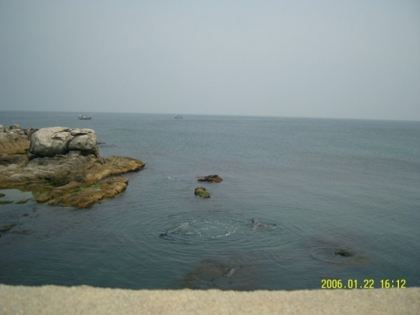 bfef2b0137937919fdee03fef5005322_1470039