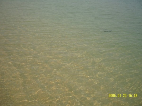 bfef2b0137937919fdee03fef5005322_1470039