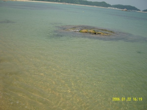 bfef2b0137937919fdee03fef5005322_1470039