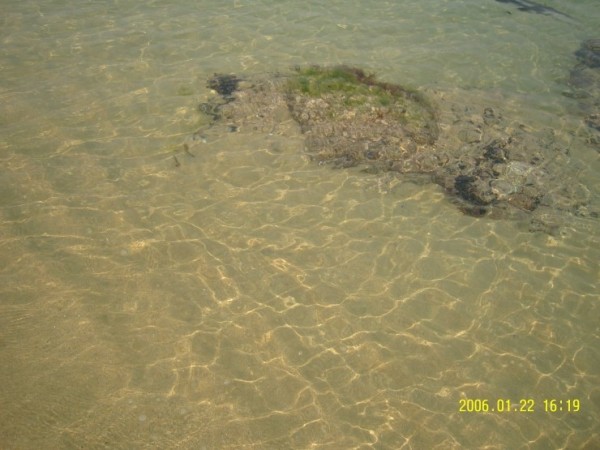 bfef2b0137937919fdee03fef5005322_1470039